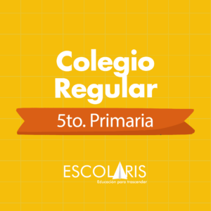 5.º Primaria, Colegio Regular Online