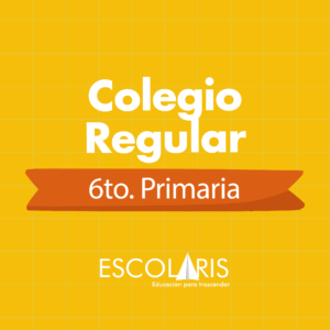 6.º Primaria, Colegio Regular Online